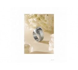 Bague - Or blanc, diamants